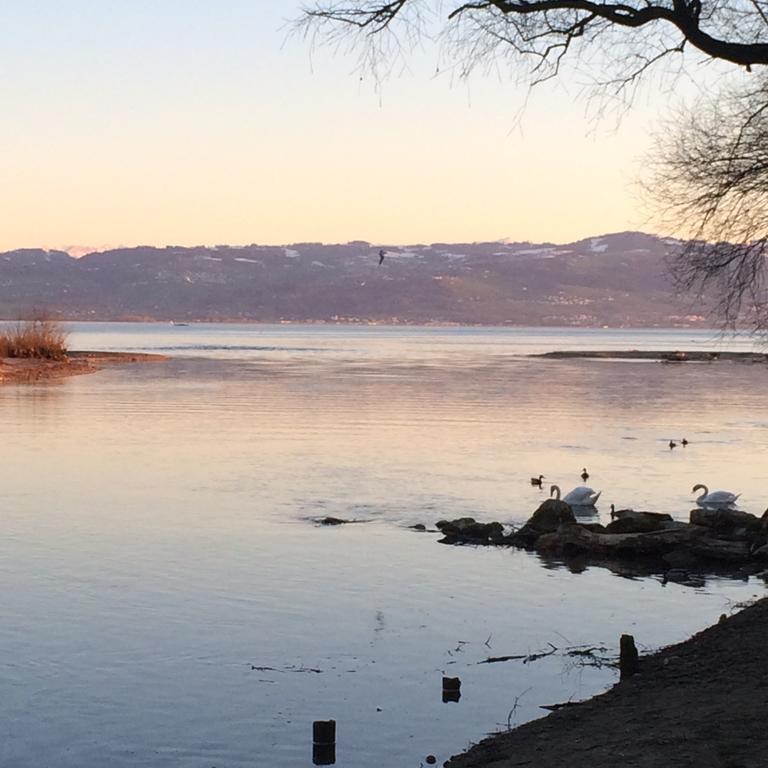 Am Bodensee * Kressbronn am Bodensee
